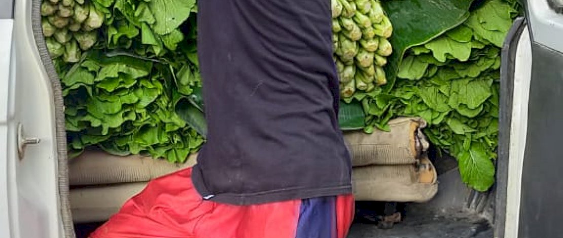 Impor Sayuran Indonesia ke China Meningkat Empat Kali Lipat 