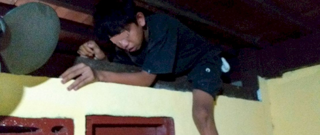 Pencuri difoto pemilik rumah saat berusaha kabur dengan memanjat dinding.