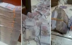 Simpan Uang Kertas di Kaleng Milo, Nenek di Malaysia Kehilangan Rp1 Miliar Usai Dimakan Rayap