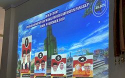 Hitung Cepat Pilkada Pangkep, MYL-SS Tidak Terkejar