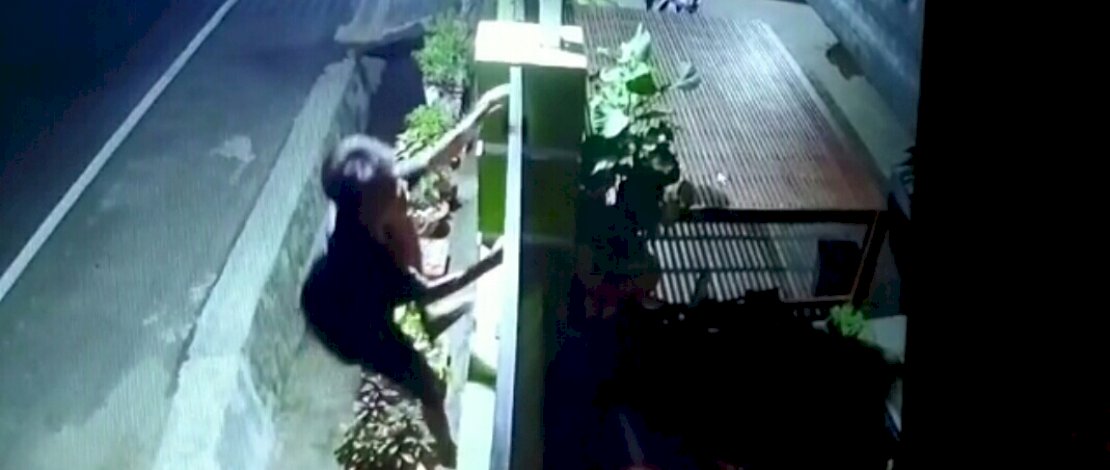 Tangkapan layar aksi pencurian burung di Pinrang. 