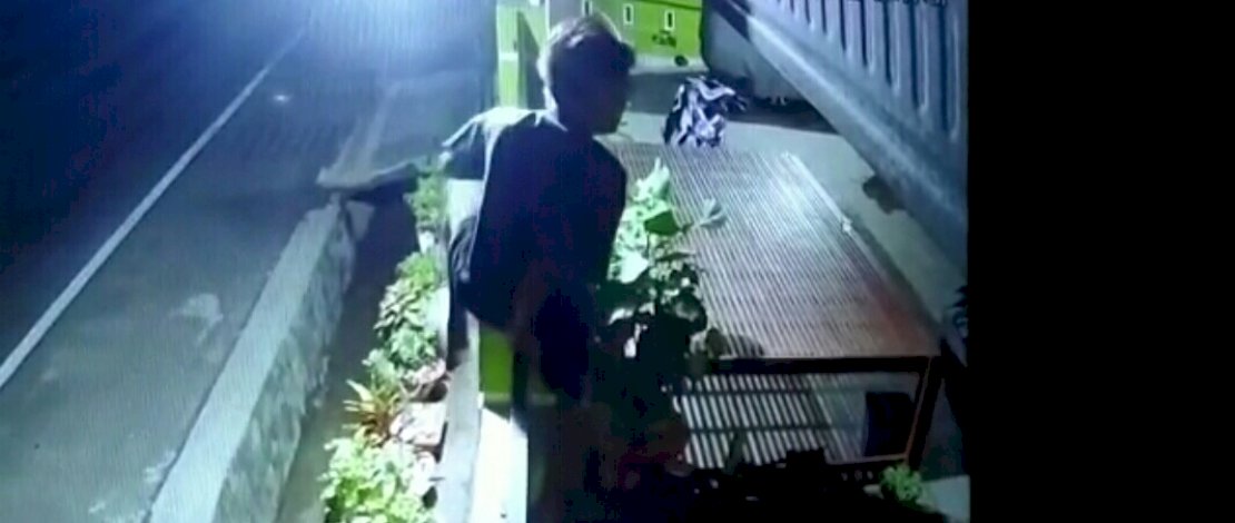 Tangkapan layar aksi pencurian burung di Pinrang. 