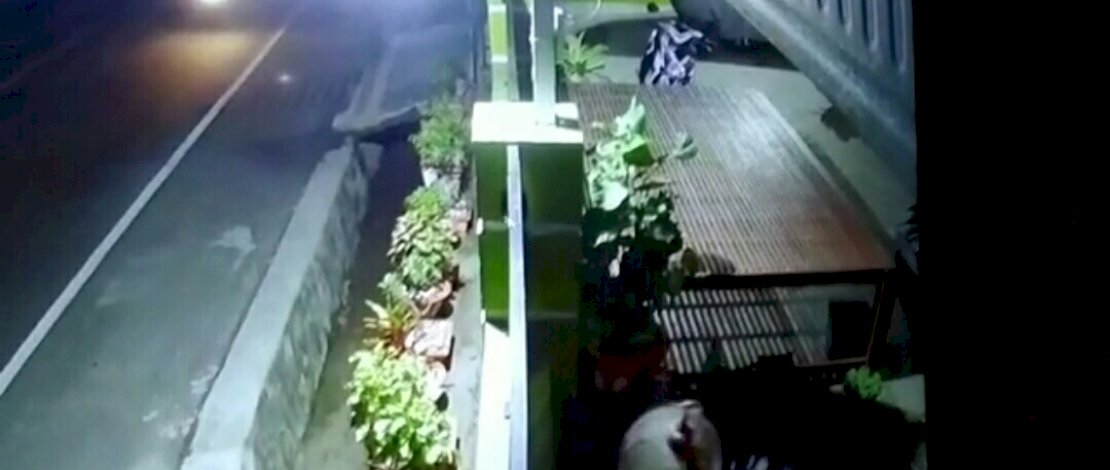 Tangkapan layar aksi pencurian burung di Pinrang. 