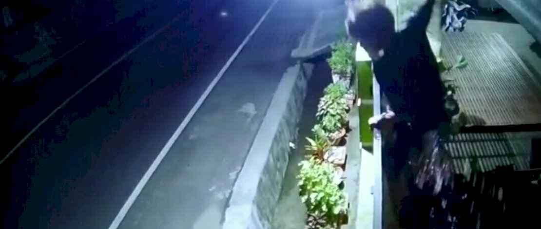 Tangkapan layar aksi pencurian burung di Pinrang. 