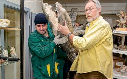 Aligator Milik&nbsp;Adolf Hitler Telah Diawetkan dan Akan Dipamerkan di Rusia