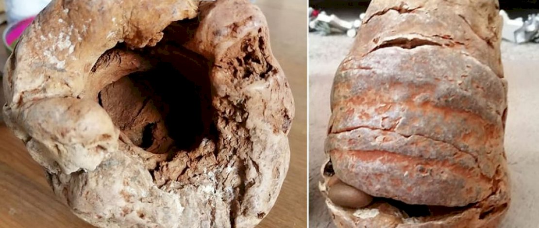 Granat PD II yang dikira fosil