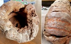 Granat Dikira Fosil, Akhirnya Dibawa Pulang dan Meledak di Rumah