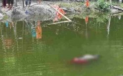 Usai Diberi Uang Jajan Rp3 Ribu, Gadis Pinrang Menghilang, Besoknya Ditemukan Mengapung di Empang