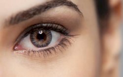 Inilah 11 Bentuk Mata, Anda yang Mana?