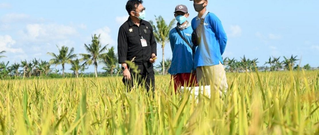 Langkah SYL Mengantisipasi Iklim Ekstrim di Tahun 2021