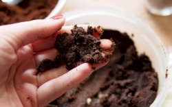 3 Cara Mudah dan Hemat Hilangkan Flek Hitam dengan Kopi