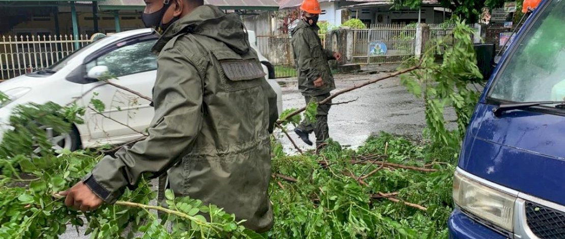 Bahayakan Pengguna Jalan, SAR Brimob Evakuasi Dahan Tumbang di Bone