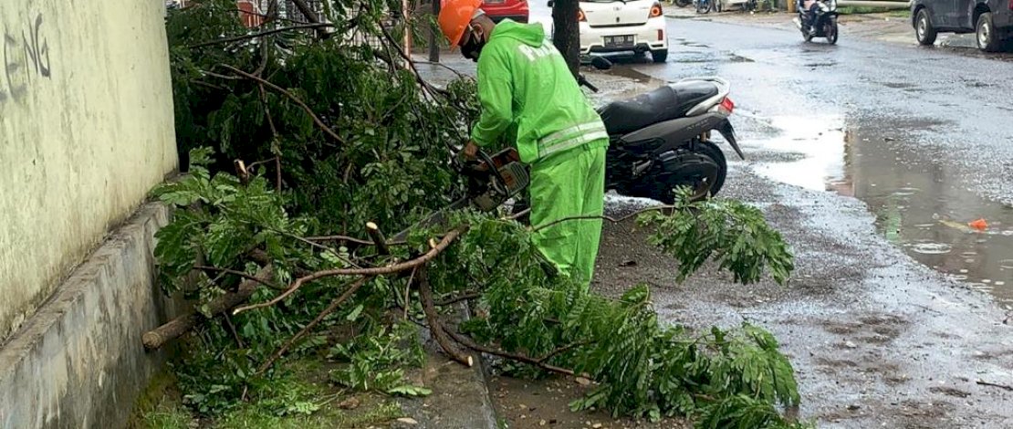 Bahayakan Pengguna Jalan, SAR Brimob Evakuasi Dahan Tumbang di Bone