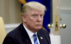 Negosiasi Tarif Impor, Pemerintah RI Kirim Proposal ke Trump 