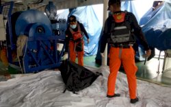 Basarnas Terima 8 Kantong dari Pesawat SJ 182, 5 Diantaranya Berisi Potongan Tubuh