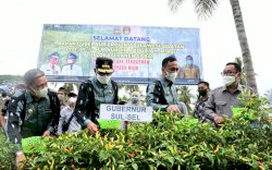 Nurdin Abdullah Ikuti Panen Cabe di Desa Lowa Kabupaten Wajo