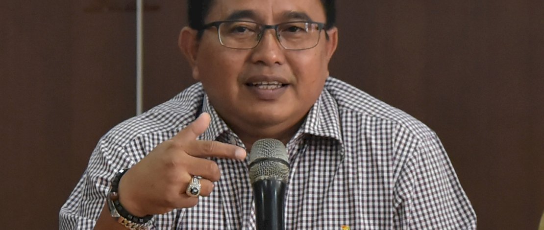 Anggota DPR RI, Muhammad Fauzi