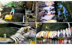 Usai Bersihkan Kolam Ikan, Pria Ini Langsung Dipecat Majikan, Ini Alasannya