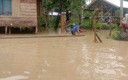 Ratusan Rumah Terendam, 505 Jiwa Terdampak Banjir Aceh Timur