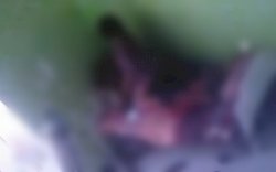 Pasien Covid-19 Mesum, Dua Pegawai RSUD Dompu Jadi Tersangka