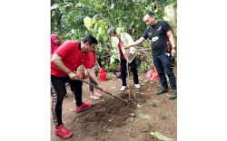 Besok PDI Perjuangan Sulsel Tanam 48 Ribu Bibit Pohon