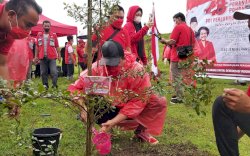 Ultah ke-48, PDIP Se-Sulsel Tanam Serentak 48 Ribu Bibit Pohon