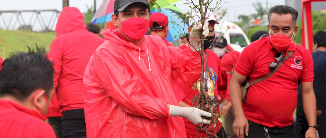 Sekretaris PDIP Sulsel, Rudy Pieter Goni melakukan penanaman bibit pohon di pinggir sungai Jeneberang.