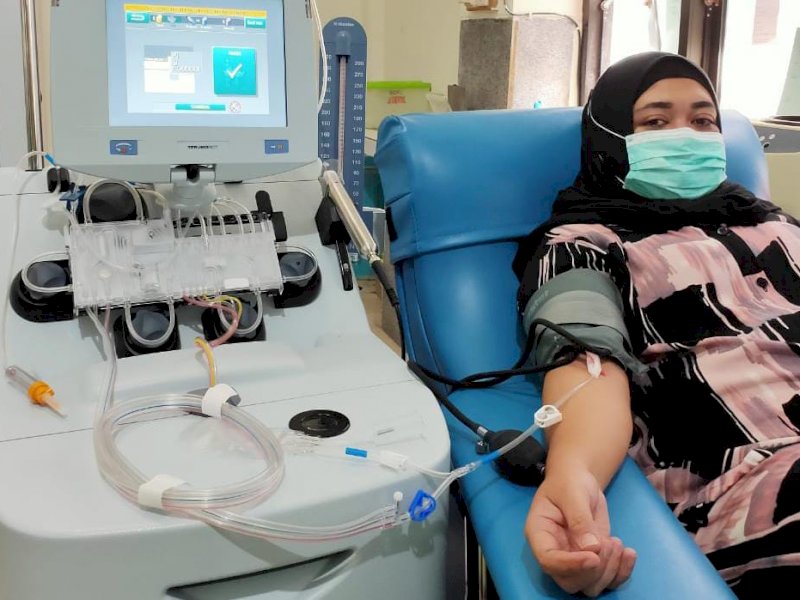 Taufan Pawe Ajak Penyintas Covid-19 Jadi Pendonor Plasma