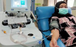 Taufan Pawe Ajak Penyintas Covid-19 Jadi Pendonor Plasma