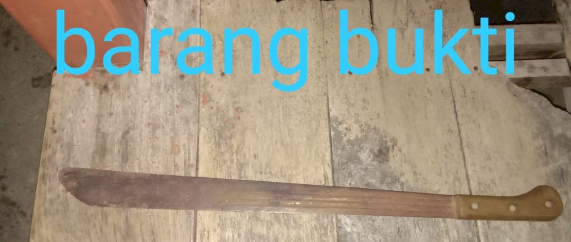 Pelaku penganiayaan dan barang bukti parang, sepeda motor korban dan sepeda motor pelaku.