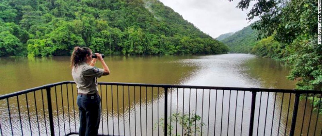 Departemen Lingkungan Queensland di tempat kejadian.