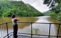 Kepala Sudah di Mulut Buaya, Pria ini Berhasil Menyelamatkan Diri