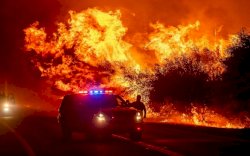 30 Rumah Terbakar Selama Kebakaran Hutan di Australia Barat