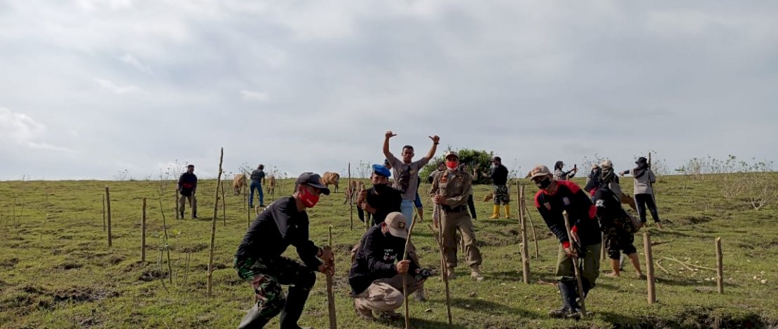 Jelang HUT Takalar ke 61, Pemkab dan Warga Tanam Lima Ribu Pohon Kelor