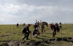 Jelang HUT Takalar ke 61, Pemkab dan Warga Tanam Lima Ribu Pohon Kelor