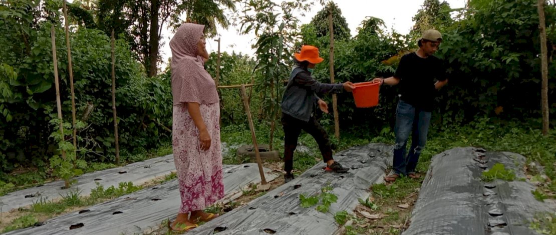 Echa Panrita Lopi (bertopi oranye), membangkitkan semangat para pengungsi korban gempa Sulbar dengan menanam sayuran.