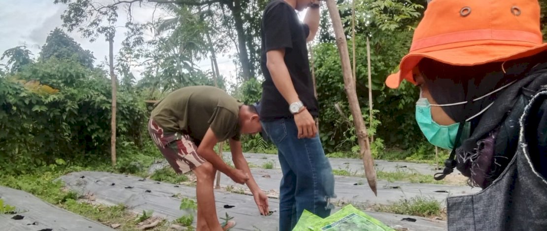 Echa Panrita Lopi (bertopi oranye), membangkitkan semangat para pengungsi korban gempa Sulbar dengan menanam sayuran.