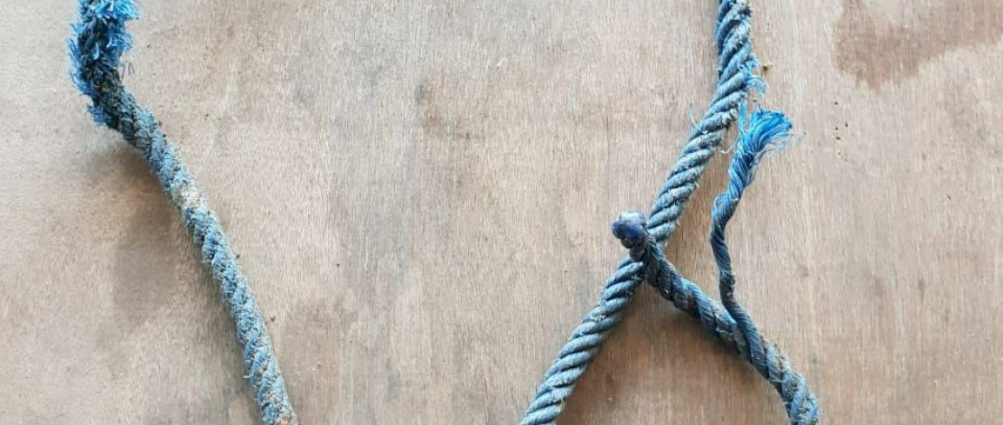 Pelaku saat dibekuk dan barang bukti tali nilon biru.