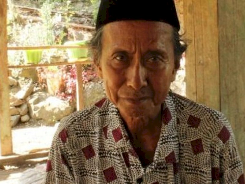 Balada Kakek Natu dari Soppeng, Tebang Pohon Sendiri Divonis 3 Bulan Penjara