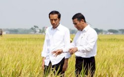 Mentan Amran Sebut Harga Beras Naik karena Pupuk Subsidi Berkurang