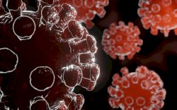 Begini Kronologi 60 Mahasiswa KKN Profesi Kesehatan Unhas di Kabupaten Jeneponto Terungkap Positif Covid-19