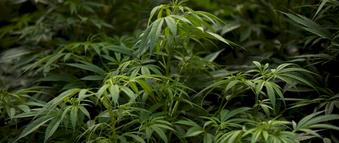 Foto: Fernando Llano/Associated Press