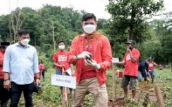 Adnan Harap Penanaman Pohon Mampu Minimalisir Bencana