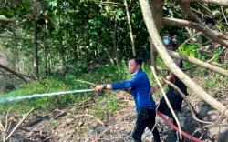 Damkar Parepare Padamkan Kobaran Api di Lompoe