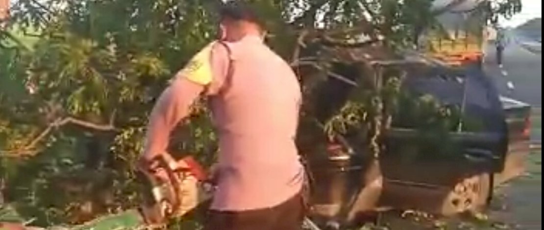 Sebuah pohon tumbang, menimpa sebuah mobil di Balusu, Barru.