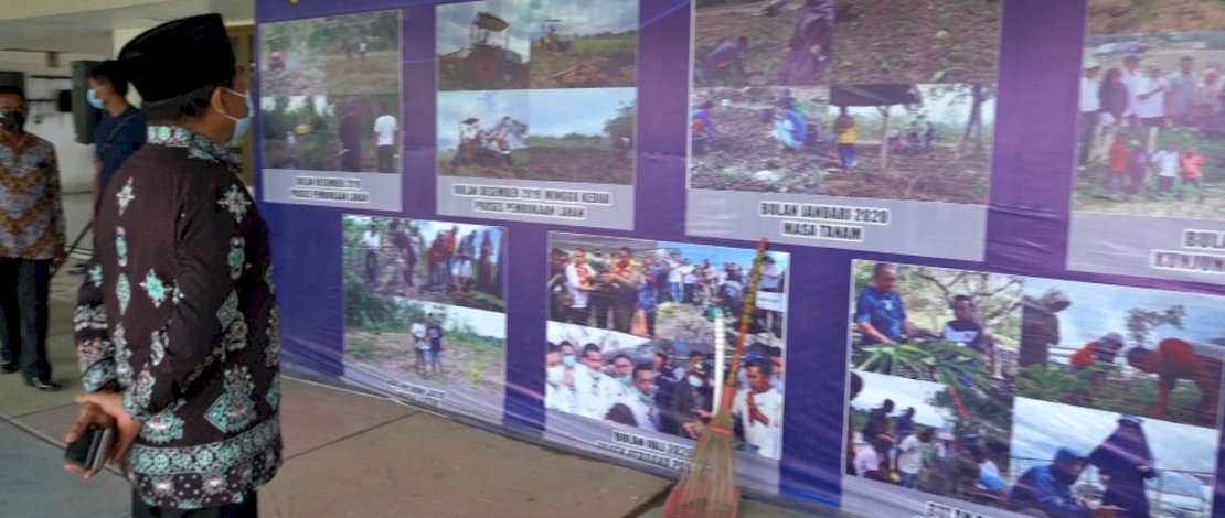 Gubernur Kaltara, Zainal Arifin Paliwang, mengunjungi perkebunan porang di Sidrap.