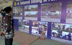 Gubernur Kalimantan Utara Kunjungi Kebun Porang di Sidrap