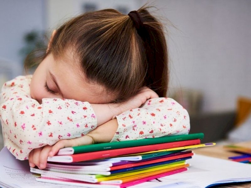 Anak Rajin Rentan Mengalami 8 Hal Buruk Ini