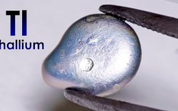 Terinspirasi oleh Saddam Hussein, Pengusaha ini Racuni Mertuanya Dengan Talium