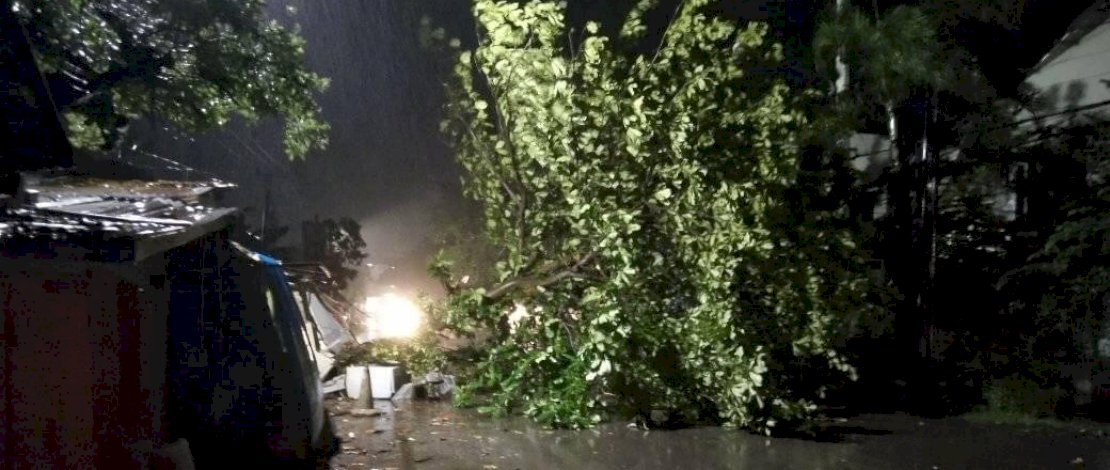 Atap rumah warga diterbangkan angin. Sejumkah pohon juga tumbang.